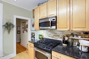 431 W Aldine Ave, Chicago, IL 60657 - Photo 7