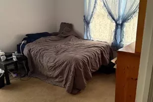 210 W South St, Sheffield, IL 61361 - Photo 13