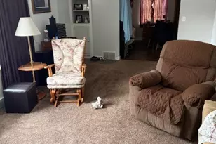 210 W South St, Sheffield, IL 61361 - Photo 5