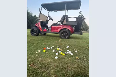 37 Conservation Court, Lasalle, IL 61301 - Photo 41