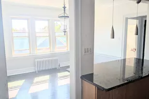 816 S Maple Ave, Oak Park, IL 60304 - Photo 13