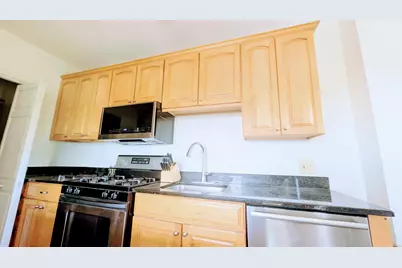 816 S Maple Avenue #3S, Oak Park, IL 60304 - Photo 9