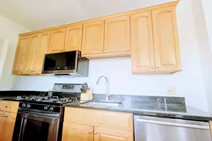 816 S Maple Ave, Oak Park, IL 60304 - Photo 9