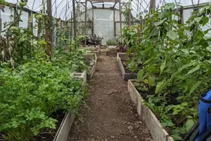 1748 N Windsor Dr, Arlington Heights, IL 60004 - Photo 35