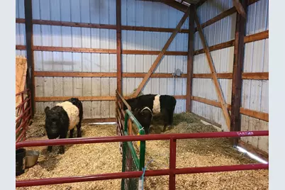 11071 Crimmin Road, Newark, IL 60541 - Photo 5