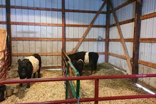 11071 Crimmin Rd, Newark, IL 60541 - Photo 5