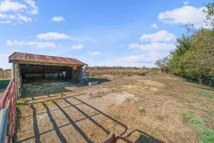 11071 Crimmin Rd, Newark, IL 60541 - Photo 35