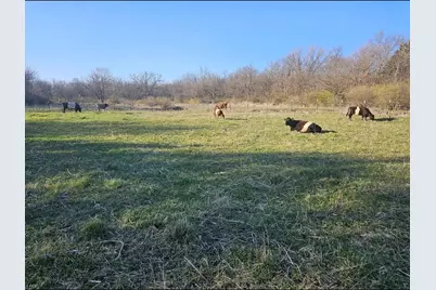 11071 Crimmin Road, Newark, IL 60541 - Photo 7