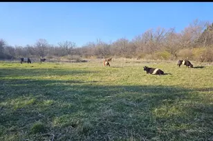 11071 Crimmin Rd, Newark, IL 60541 - Photo 7