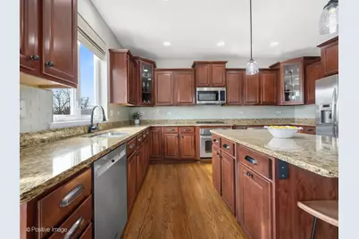 229 Grant Street, Downers Grove, IL 60515 - Photo 7