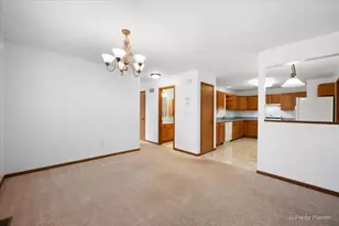 40 S Walnut Dr, North Aurora, IL 60542 - Photo 11