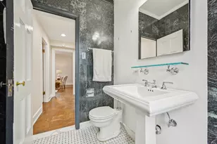 73 E Elm St, Chicago, IL 60611 - Photo 29