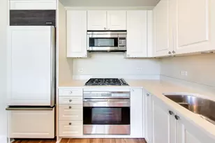 10 E Delaware Pl, Chicago, IL 60610 - Photo 11