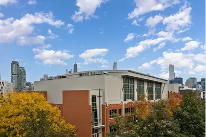 1036 N Crosby Street, Chicago, IL 60610 - Photo 21