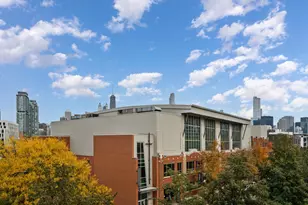 1036 N Crosby St, Chicago, IL 60610 - Photo 21