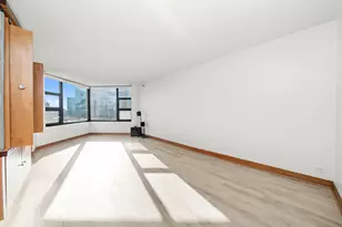 401 E Ontario St, Chicago, IL 60611 - Photo 71