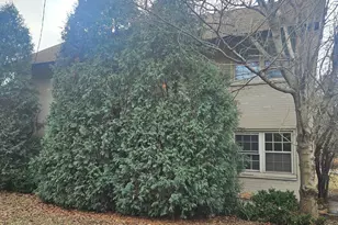 [Address not provided], Park Ridge, IL 60068 - Photo 23