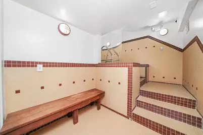 40 E 9th Street #707, Chicago, IL 60605 - Photo 31