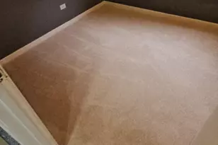 663 W 117th Pl, Chicago, IL 60628 - Photo 5