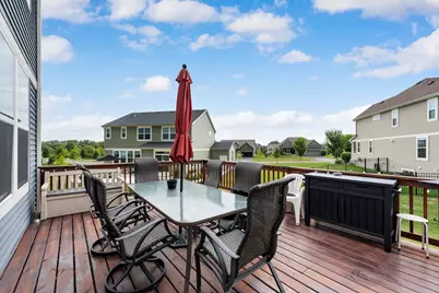 1009 Persimmon Court, Crystal Lake, IL 60012 - Photo 41