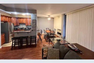 3041 S Michigan Avenue #104, Chicago, IL 60616 - Photo 5