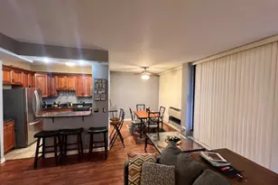 3041 S Michigan Ave, Chicago, IL 60616 - Photo 5