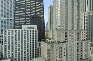 179 E Lake Shore Dr, Chicago, IL 60611 - Photo 43