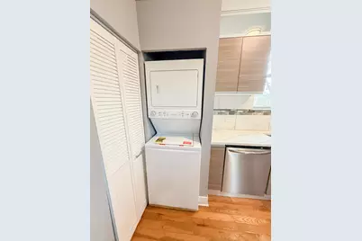 438 E 49th Street #3, Chicago, IL 60615 - Photo 5