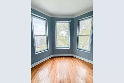 438 E 49th Street #3, Chicago, IL 60615 - Photo 17