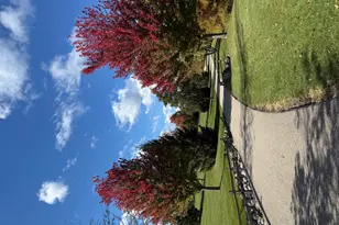 2221 Sassafras Wy, Wonder Lake, IL 60097 - Photo 41