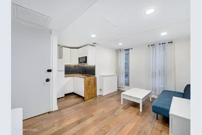 21 W Goethe Street #2D, Chicago, IL 60610 - Photo 3