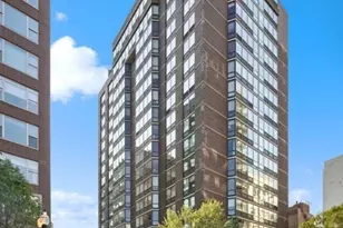 21 W Goethe St, Chicago, IL 60610 - Photo 1