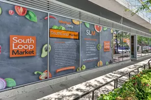 1720 S Michigan Ave, Chicago, IL 60616 - Photo 21