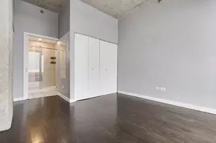 1720 S Michigan Ave, Chicago, IL 60616 - Photo 9