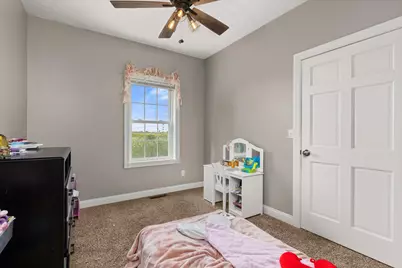 1 Arc Street, Wenona, IL 61377 - Photo 23