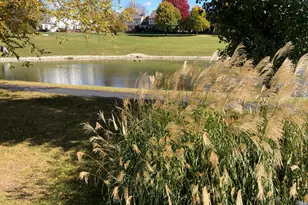 1712 Coach Dr, Naperville, IL 60565 - Photo 3