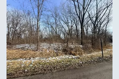 4802 Brorson Lane, Johnsburg, IL 60051 - Photo 5