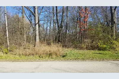 4802 Brorson Lane, Johnsburg, IL 60051 - Photo 3