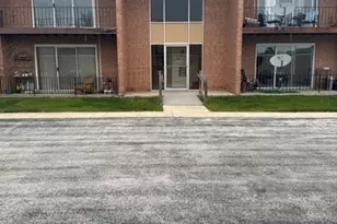 18340 Cherry Creek Dr, Homewood, IL 60430 - Photo 1