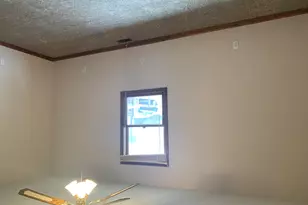 504 Harvey Road, Downs, IL 61736 - Photo 21