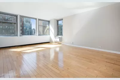 30 E Elm Street #14E, Chicago, IL 60611 - Photo 3