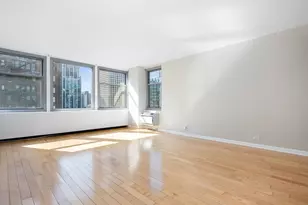 30 E Elm St, Chicago, IL 60611 - Photo 3