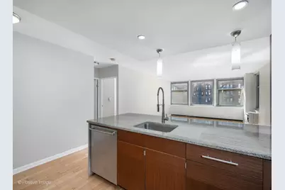 30 E Elm Street #14E, Chicago, IL 60611 - Photo 11
