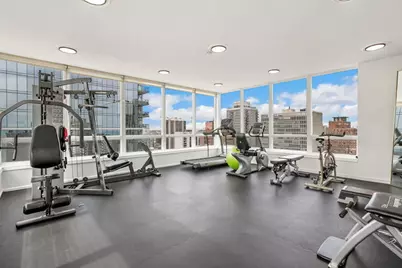 30 E Elm Street #14E, Chicago, IL 60611 - Photo 17