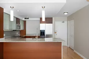 30 E Elm St, Chicago, IL 60611 - Photo 7