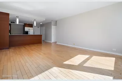 30 E Elm Street #14E, Chicago, IL 60611 - Photo 5