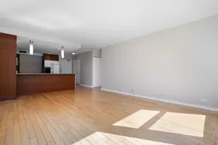 30 E Elm St, Chicago, IL 60611 - Photo 5