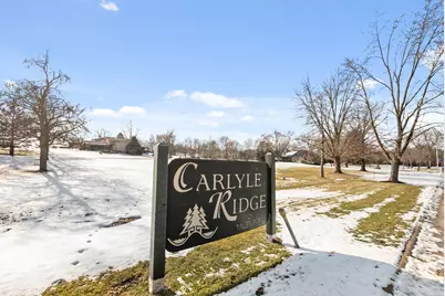 17330 Carlyle Court, Tinley Park, IL 60487 - Photo 3