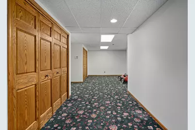 807 Hitchcock Avenue, Lisle, IL 60532 - Photo 39