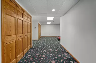 807 Hitchcock Ave, Lisle, IL 60532 - Photo 39